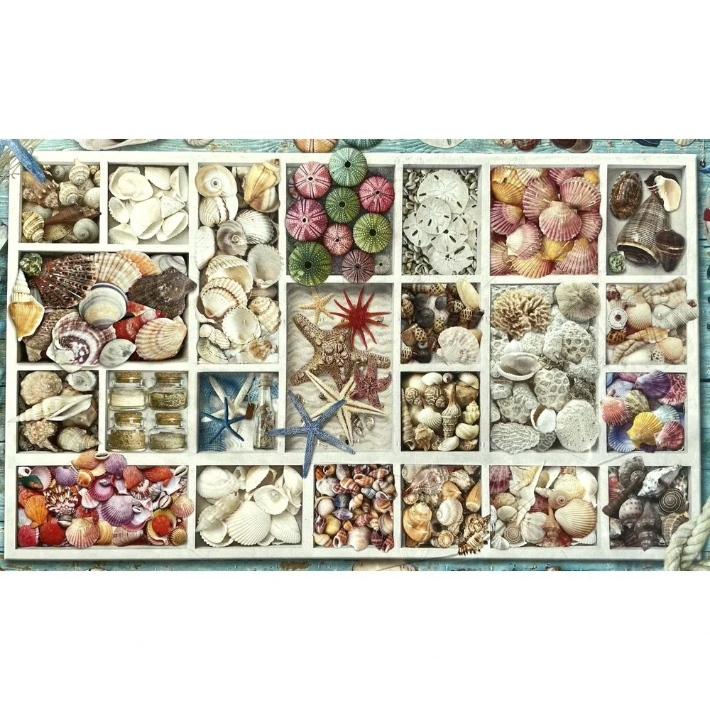 Seashell Collection 1000 Pieces Puzzle Eurographics New Sealed Jigsaw